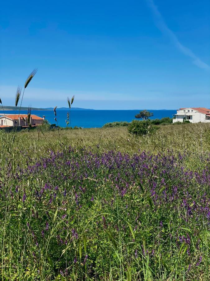Villa Cvita Povljana Eksteriør billede