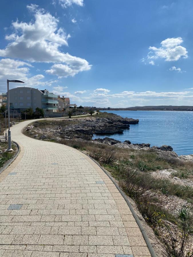 Villa Cvita Povljana Eksteriør billede
