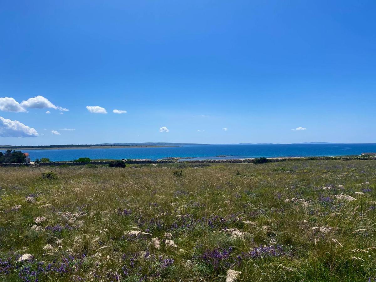 Villa Cvita Povljana Eksteriør billede